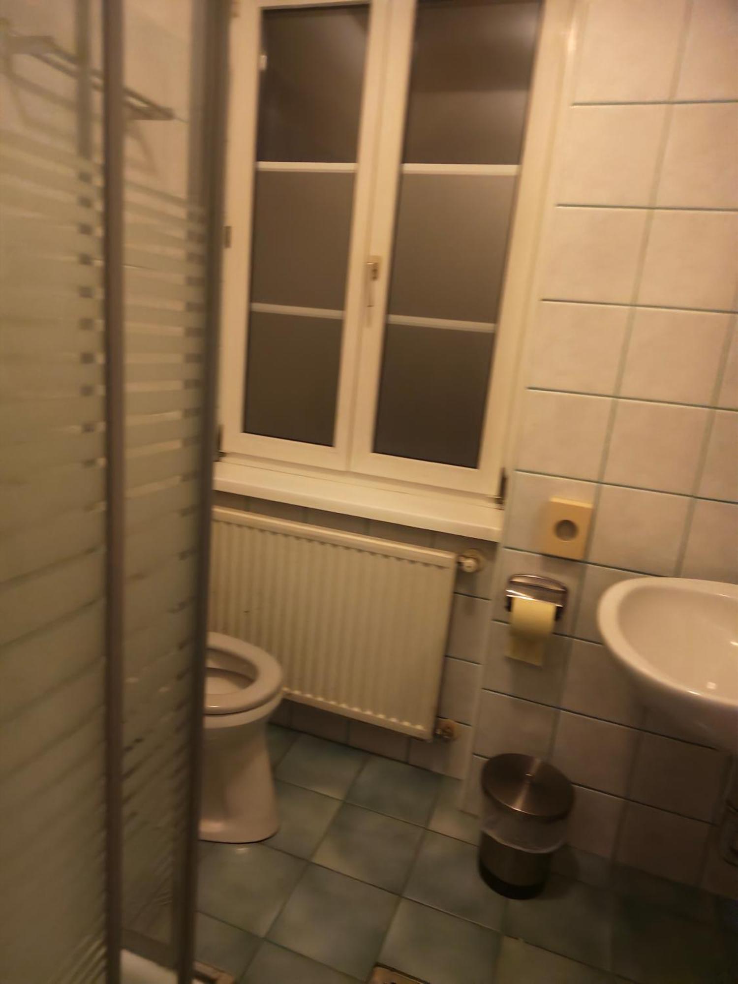 Asia Wok Gasthof Ybbs an der Donau Bagian luar foto